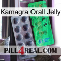 Kamagra Orall Jelly new04